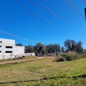 Pavilhão com 5000m², no bairro Forqueta em Caxias do Sul para Alugar