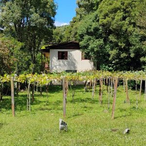 Casa com 72m², 2 dormitórios, 1 vaga, no bairro Fazenda Souza em Caxias do Sul para Comprar