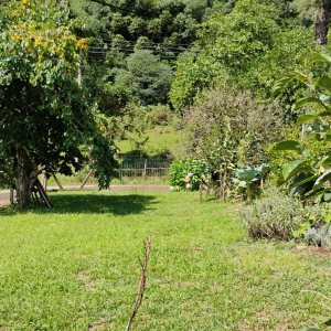 Casa com 72m², 2 dormitórios, 1 vaga, no bairro Fazenda Souza em Caxias do Sul para Comprar
