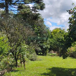 Casa com 72m², 2 dormitórios, 1 vaga, no bairro Fazenda Souza em Caxias do Sul para Comprar