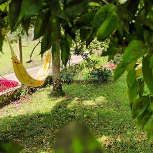 Casa com 72m², 2 dormitórios, 1 vaga, no bairro Fazenda Souza em Caxias do Sul para Comprar