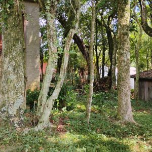 Casa com 72m², 2 dormitórios, 1 vaga, no bairro Fazenda Souza em Caxias do Sul para Comprar