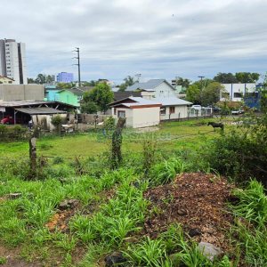 Terreno, no bairro Desvio Rizzo em Caxias do Sul para Comprar