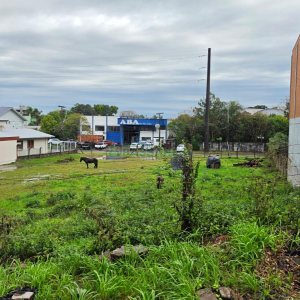 Terreno, no bairro Desvio Rizzo em Caxias do Sul para Comprar