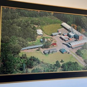 Pavilhão com 4600m², no bairro Forqueta em Caxias do Sul para Alugar