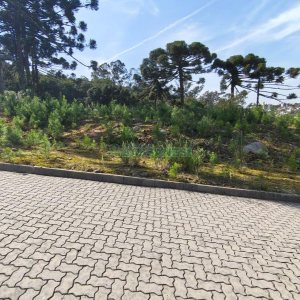 Terreno com 412m², no bairro Nossa Senhora da Conceição em Caxias do Sul para Comprar