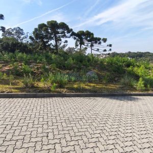 Terreno com 412m², no bairro Nossa Senhora da Conceição em Caxias do Sul para Comprar