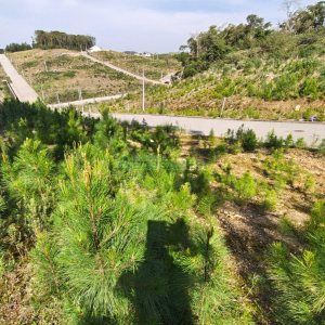Terreno com 412m², no bairro Nossa Senhora da Conceição em Caxias do Sul para Comprar