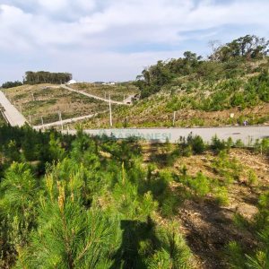 Terreno com 412m², no bairro Nossa Senhora da Conceição em Caxias do Sul para Comprar