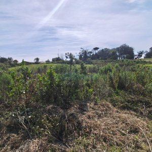 Terreno com 409m², no bairro Monte Bérico em Caxias do Sul para Comprar