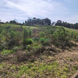 Terreno com 409m², no bairro Monte Bérico em Caxias do Sul para Comprar