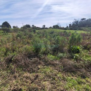 Terreno com 409m², no bairro Monte Bérico em Caxias do Sul para Comprar