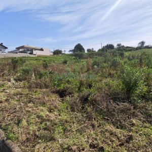 Terreno com 409m², no bairro Monte Bérico em Caxias do Sul para Comprar