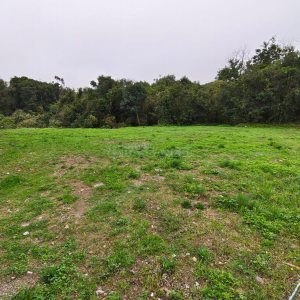 Terreno, no bairro Bela Vista em Caxias do Sul para Comprar