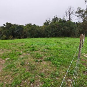 Terreno, no bairro Bela Vista em Caxias do Sul para Comprar