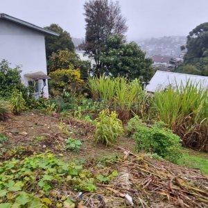 Casa com 100m², 3 dormitórios, 1 vaga, no bairro São Virgílio em Caxias do Sul para Alugar