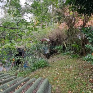 Casa com 100m², 3 dormitórios, 1 vaga, no bairro Panazzolo em Caxias do Sul para Comprar
