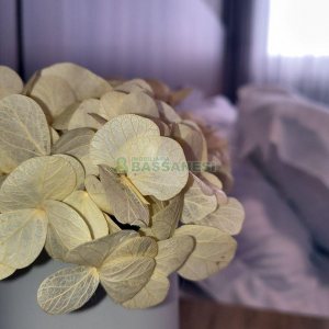 Apartamento com 85m², 2 dormitórios, 2 vagas, no bairro Panazzolo em Caxias do Sul para Comprar