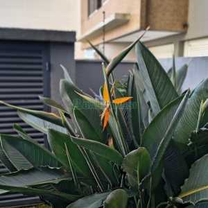 Apartamento com 96m², 2 dormitórios, 2 vagas, no bairro Panazzolo em Caxias do Sul para Comprar