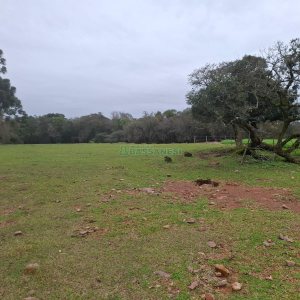 Chácara, no bairro Interior em São Marcos para Comprar