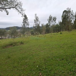 Chácara, no bairro Interior em São Marcos para Comprar