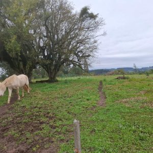 Chácara, no bairro Interior em São Marcos para Comprar