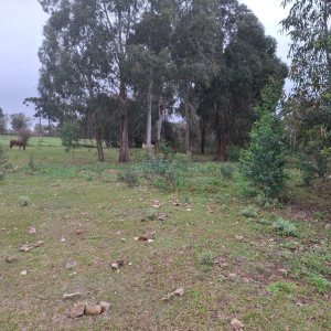 Chácara, no bairro Interior em São Marcos para Comprar