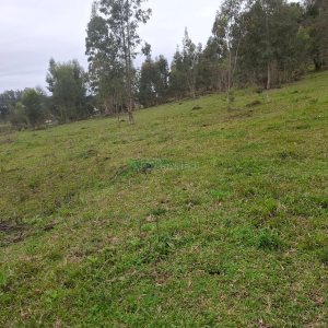 Chácara, no bairro Interior em São Marcos para Comprar