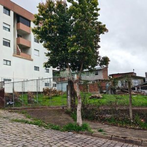 Terreno, no bairro Sanvitto em Caxias do Sul para Comprar
