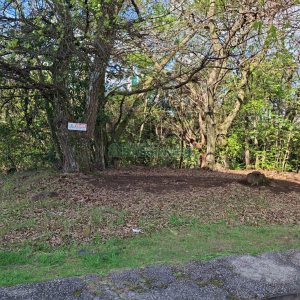 Terreno com 1080m², no bairro Vila Horn em Caxias do Sul para Comprar