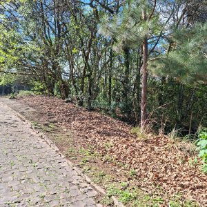 Terreno com 1080m², no bairro Vila Horn em Caxias do Sul para Comprar