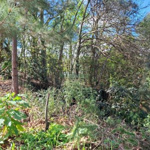Terreno com 1080m², no bairro Vila Horn em Caxias do Sul para Comprar