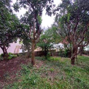 Casa com 229m², 3 dormitórios, 4 vagas, no bairro Santa Lúcia em Caxias do Sul para Comprar