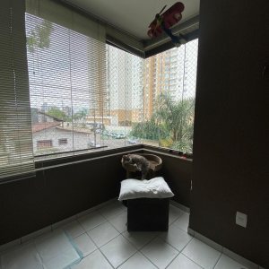 Apartamento com 150m², 3 dormitórios, 2 vagas, no bairro Lourdes em Caxias do Sul para Comprar