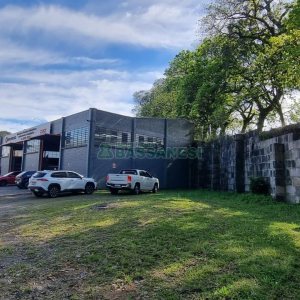 Pavilhão com 535m², no bairro Ana Rech em Caxias do Sul para Comprar