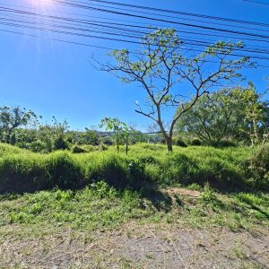 Terreno, no bairro Nossa Senhora das Graças em Caxias do Sul para Comprar