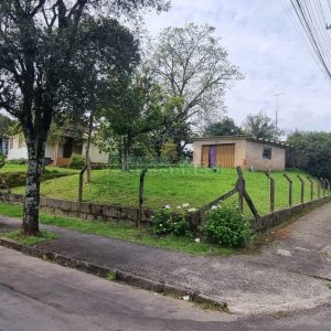 Casa com 36m², 3 dormitórios, no bairro Santa Catarina em Caxias do Sul para Comprar