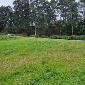 Terreno, no bairro Desvio Rizzo em Caxias do Sul para Comprar