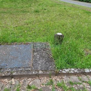 Terreno, no bairro Desvio Rizzo em Caxias do Sul para Comprar