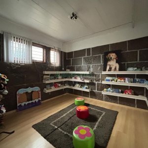Casa com 390m², 4 dormitórios, 4 vagas, no bairro Lourdes em Caxias do Sul para Alugar