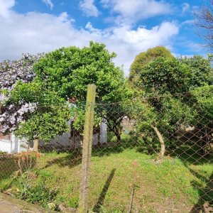 Casa com 152m², 3 dormitórios, no bairro Pioneiro em Caxias do Sul para Comprar
