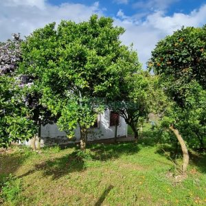 Terreno, no bairro Pioneiro em Caxias do Sul para Comprar