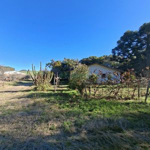 Chácara com 180m², 3 dormitórios, 1 vaga, no bairro Criúva em Caxias do Sul para Comprar