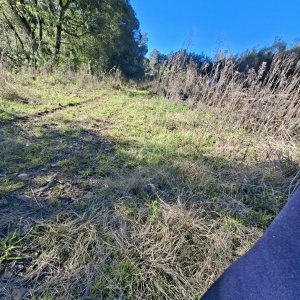 Chácara com 180m², 3 dormitórios, 1 vaga, no bairro Criúva em Caxias do Sul para Comprar
