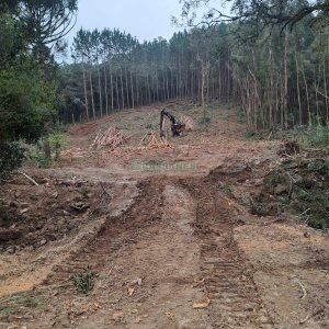 Chácara com 180m², 3 dormitórios, 1 vaga, no bairro Criúva em Caxias do Sul para Comprar