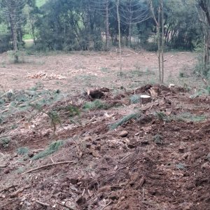 Chácara com 180m², 3 dormitórios, 1 vaga, no bairro Criúva em Caxias do Sul para Comprar