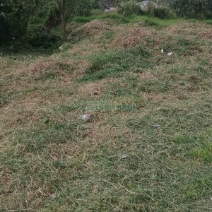 Terreno, no bairro Nossa Senhora das Graças em Caxias do Sul para Comprar