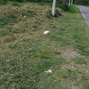 Terreno, no bairro Nossa Senhora das Graças em Caxias do Sul para Comprar