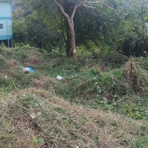 Terreno, no bairro Nossa Senhora das Graças em Caxias do Sul para Comprar