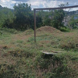 Terreno, no bairro Nossa Senhora das Graças em Caxias do Sul para Comprar
